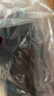 探路者（TOREAD）探路者软壳裤男 秋冬防风防泼水加绒加厚保暖越野长裤TAMMCN91860 实拍图