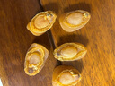 送海参鲍鱼干一斤500g干货120头淡干礼盒装非特级溏心即食鲍鱼 鲍鱼干50g约7只送海参10只 实拍图