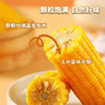 正宗新鲜东北黄糯玉米绿色食品真空包装加热即食减肥减脂代餐早餐 10根/箱 实拍图
