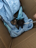 新宠之康 宠物羊奶粉400g狗狗猫咪成幼犬猫泰迪金毛羊奶粉营养补充 实拍图