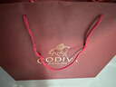 歌帝梵（Godiva）臻粹果仁巧克力高端礼盒 20颗200g 糖果休闲零食 生日礼物 伴手礼 实拍图