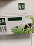 伊利金典纯牛奶整箱 200ml*24盒 3.6g乳蛋白 原生高钙 礼盒装 实拍图