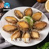 海鲜世家三去鲍鱼肉 100g尝鲜装 10-15粒 火锅烧烤食材  贝类海鲜生鲜 实拍图