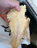 远洋 烤鱼片500g整鱼剖片大连特产低脂高蛋白 礼品 鱼干 大礼包零食 实拍图