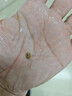 3盒装[乐家老铺] 南京同仁堂 排石颗粒20g*10袋/盒 实拍图