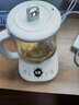 小熊（Bear）养生壶 1.5L煮茶壶煮茶器 玻璃花茶壶 316不锈钢恒温水壶烧水壶电热水壶 YSH-E15M1 实拍图