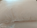 水星家纺蚕丝枕头青桑有机蚕丝A类55%莱赛尔面料护颈椎枕头芯一对48*74cm  实拍图