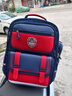 Edison爱迪生小学生书包护脊减负护腰防下坠1-3-6年级反光儿童背包L37-3 实拍图