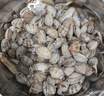 聚创麒海水晶海水缸海鲜市场水产养殖人工配制海水盐海鱼珊瑚水母专用盐 高端速溶海水晶【20斤】 实拍图