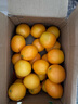 玖原农珍 赣南脐橙当季采摘优选橙子年货礼盒水果 净重9斤彩箱优选大果160-230g 实拍图