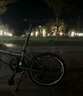 大行（DAHON）经典P8折叠自行车成人20英寸8速男女式通勤运动单车KBC083 消光绿【经典版】 实拍图