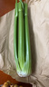 京鲜生山东新鲜大西芹净重4.5斤榨汁现挖芹菜鲜嫩蔬菜 去半叶源头直发 实拍图