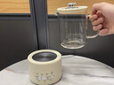 乐炖 养生壶迷你养生杯电炖杯办公室煮茶壶煮茶器小型一人花茶壶烧水壶电煮茶杯加热杯垫炖煮壶一体 【高颜值】智能0.6L养生壶 0.6L 加厚材质带三年以换代修 实拍图