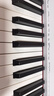 卡西欧（CASIO）CDPS110电钢琴新手入门乐器88键重锤初学者便携儿童成人电子钢琴 CDP-S110+便携X架 白色琴头 实拍图