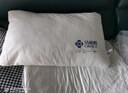 洁丽雅（Grace）枕头枕芯星级酒店羽丝绒枕芯可水洗枕 纤维软枕芯 一对装 48*74cm 实拍图