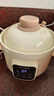 天际（TONZE）母婴电炖锅 宝宝辅食锅陶瓷 蒸煮米油分月龄直炖微压炖锅BB煲迷你炖盅DDG-10DB 1L 实拍图