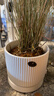盆生花道特价花盆陶瓷简约透气带托盘家用阳台盆栽绿植多肉盆厂家 1个大号雅典古瓷白(配网格托盘) 无规格 实拍图