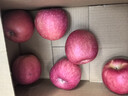 陇原红【顺丰到家】静宁苹果甘肃红富士苹果新鲜孕妇水果源头直发包邮 手工精选|5斤70-75mm净重4斤宝宝果 实拍图