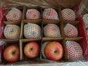 京鲜生 烟台红富士苹果 净重5.2斤/12粒  单果190-240g  水果礼盒 实拍图