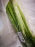 【24小时菜】大芹菜约400g 实拍图