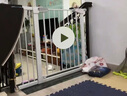 呵花楼梯口护栏婴儿童安全门栏围阳台栏杆宠物宝宝犬狗狗栅栏门免打孔 门+脚踏+加固槽 104-111cm 高76cm栏杆间隙 实拍图
