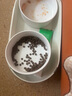 华元宠具（hoopet）猫碗陶瓷双碗狗狗饭盆猫咪食盆喂食器猫粮盆喝水碗防打翻宠物用品 实拍图