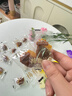 三只松鼠梅有芒果100g青梅芒果干果脯无核酸甜可口蜜饯梅子酸甜儿童零食 实拍图