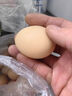 筱诺 新鲜土鸡蛋 笨鸡蛋 柴鸡蛋  现捡现发破损包赔  单枚40±5g 12枚鸡蛋 实拍图