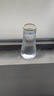 玻璃花瓶透明植物插花瓶水培容器大花瓶装饰客厅摆件 透明描边水波纹（17*5.5*8） 1个装 实拍图