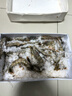 往牧 虾 南美白虾盐冻大虾活冻基围虾 生鲜对虾海虾 虾类 海鲜水产 17-19cm超大号大虾 4斤(净重) 实拍图