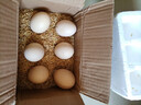 大码鸡蛋50g正负5g/枚散养土鸡蛋新鲜鸡蛋溏心蛋早餐必备京东包邮 6枚土鸡蛋50g 实拍图