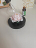 Para Ella永生花陶瓷牡丹生日礼物女伴手礼实用母亲感恩圣诞年会结婚纪念日 实拍图