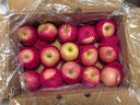 京鲜生 烟台红富士苹果 净重10斤  单果160g以上 水果礼盒 实拍图
