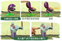 PLANTS VS ZOMBIES植物大战僵尸玩具儿童男孩节礼物可发射豌豆全套模型游戏5-8生日 【送礼豪华28件】20植物+8僵尸 实拍图