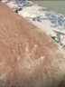 北极绒（Bejirog）床上牛奶绒四件套床裙款珊瑚绒加厚被套床单双面法兰绒毛被罩保暖 豆蔻年华-升级加厚八斤牛奶绒 1.8m床 床裙款 四件套-被套200*230cm 实拍图