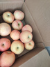 甜醉了烟台苹果水果生鲜果脆甜栖霞红富士整箱应季山东特产礼盒产地直发 净重8.5斤80-90mm 实拍图