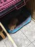 凯莉狗窝宠物泰迪狗狗垫子猫窝四季通用窝垫糖果大小型犬通用狗窝猫窝 糖果窝天蓝色 40*25cm(建议3斤内) 实拍图