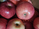 京鲜生 陕西洛川红富士苹果 净重10斤 单果200g 生鲜水果 实拍图