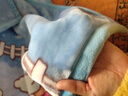 双层加厚拉舍尔毛毯儿童盖毯幼儿园午休毯小毯子办公室护腿披肩毯 柴犬乐园-蓝灰【A类母婴级】 100*120cm【A类儿童毯】 实拍图