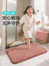 大江地垫卫生间脚垫浴室门口吸水垫厕所浴室防滑地垫50x80cm 实拍图