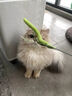 茨格曼猫咪玩具猫隧道自嗨解闷神器小猫钻洞迷宫通道逗猫球幼猫用品 实拍图