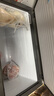 澳柯玛（AUCMA）256升家用减霜小冰柜母乳冷藏柜冷冻柜超低温电子控温卧式冰箱 一级能效BC/BD-256DHX 以旧换新 实拍图