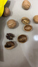 松香佳人新疆185纸皮核桃薄皮核桃原味新货阿克苏特产孕妇老人坚果零食 新疆185纸皮核桃【5斤】手捏即开 实拍图