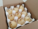魏儿郎 鸭梨魏县大鸭梨 梨子 当季精品生鲜水果冰糖雪梨送礼 9斤水晶鸭梨【精选大果】 实拍图