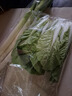 【产地直采】大葱约450g 实拍图