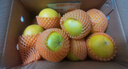京鲜生湖北秭归纽荷尔脐橙4.5斤单果200g应季水果 源头直发 包邮 实拍图