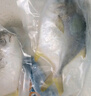 翔泰海南深海金鲳鱼700g 2条 火锅 生鲜鱼类 BAP认证 海鲜水产  实拍图