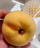 京觅山东蒙阴黄桃锦绣黄桃净重4.5斤 单果150g+生鲜水果源头直发包邮 实拍图