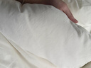 京东京造100%天然新疆棉花被 纯棉被芯双人被子 冬季厚被8斤2x2.3m 实拍图