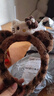 猫耳朵毛绒发箍豹纹KT猫酱发箍女洗脸化妆头箍卡通发饰 虎纹白猫/ 实拍图